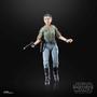 Imagem de Star Wars Princesa Leia (endor) The Black Series Hasbro