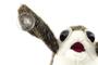 Imagem de Star Wars The Last Jedi Porg on Board Figure Suction Cup Plush - White and Brown