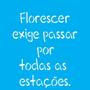 Imagem de Stencil 14x14 Frase Florescer - OPA 2215