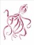 Imagem de Stencil de Acetato para Pintura OPA 15 x 20 cm  2574  Mar Polvo