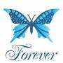 Imagem de Stencil Opa Duplo 14 X 14 cm - Borboleta Forever - 1371