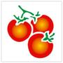 Imagem de Stencil Sp. 10X10 788 Tomates