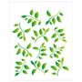 Imagem de Stencil Sp. 20X25 1410 Folhas Ii