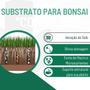 Imagem de Substrato Para Bonsai Coníferas ou Frutíferas 10 Kg - Gold Plant