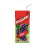 Imagem de Suco nectar maguary uva 27x200ml