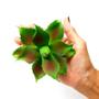 Imagem de Suculenta Agave em Silicone Verde Mesclado