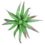 Imagem de Suculenta Aloe Vera Mini Artificial Babosa para Arranjos