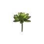 Imagem de Suculenta encheveria em plástico Brilliance 9,5cm verde