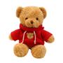 Imagem de Suéter de pelúcia Teddy Bear Galatee 30 cm vermelho