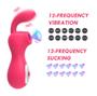Imagem de Sugador de Clitóris Pink Rabbit 12 Modos de Sucção e Vibração