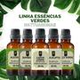 Imagem de Super Kit 5 Essências A Base Água Hidrossolúvel 30ml Difusor