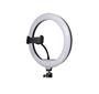 Imagem de Super Ring Light Led 10 Polegadas 26Cm Com Tripé 2M
