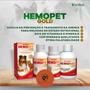 Imagem de Suplemento Alimentar Vitaminas Hemopet Gold 60ml Cães Gatos - VetBras