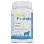 Imagem de Suplemento Avert Caninus Protein 100g