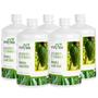 Imagem de Suplemento de Vitamina C Sabor Babosa Aloe Vera com Graviola 500ml Kit com 5 - Infinity