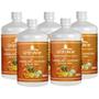 Imagem de Suplemento de Vitamina C Sabor Babosa Aloe Vera Laranja, Mel e Geleia Real 500ml Kit com 5 - Gran Aloe