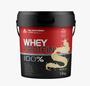 Imagem de Suplemento Em Pó 100% Whey Protein 1,8 Kg - Sabores Diversos