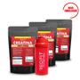 Imagem de Suplemento em Pó Red Fit Nutrition 100% Puro Importado C/ Laudo Kit Creatina 250g ( 3 Unidades )