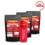 Imagem de Suplemento em Pó Red Fit Nutrition 100% Puro Importado C/ Laudo Kit Creatina 500g ( 3 Unidades )