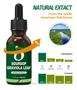 Imagem de Suplemento KingHealth Graviola (Soursop) - Extrato de Guanabana 30ml