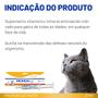 Imagem de Suplemento Organnact Promun Cat Para Gatos Pasta 30g