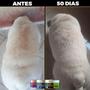 Imagem de Suplemento para cães Queda de Pelo Cachorro Forte Pelo e Derme 250g