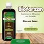 Imagem de Suplemento Rico Em Ferro Bioforzan 400ml - Arte Nativa