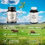 Imagem de Suplemento SMSHealthProducts.com Fígado bovino dessecado alimentado com capim