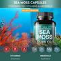 Imagem de Suplemento VOLTZAP Sea Moss com Bladderwrack - Cápsulas 2000mg