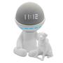 Imagem de Suporte Alexa Echo Dot - Robert Com Cachorro Amazon