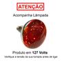 Imagem de Suporte Fisioterapia Preto Com Dimmer Lâmpada 250w 110v