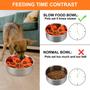 Imagem de Taça de Alimentação Lenta para Cães Anipaw - Silicone com 36 Ventosas