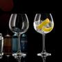 Imagem de Taça De Cristal Bohemia Vinho Ou Gin 850Ml Flamenco 2 Peças