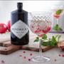Imagem de Taça Decorativa Em Acrílico Para Gin/Drinks 600ml Com 20cm