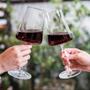 Imagem de Taças de Vinho e Água Cristal 460ml Com Titânio Pleasure 6 peças - Haus Concept 56413/101-6