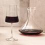 Imagem de Taças Vinho E Decanter Em Cristal Titânio Pleasure 460Ml 5