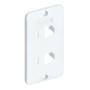Imagem de Tampa Condulete PVC Branca 2 RJ45 1 Polegada INPOL