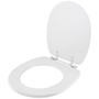 Tampa de Vaso Poliéster Alamo Branco para bacia Santa Clara - Pontto Lavabo Imagem de Tampa de Vaso Poliéster Alamo Branco para bacia Santa Clara