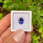 Imagem de Tanzanita Azul Oval 2,45ct