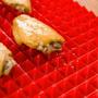 Imagem de Tapete Culinario para Forno em Silicone Antigordura e Antiderrapante Vermelho  Mandiali 
