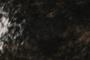 Imagem de Tapete de couro de boi. Pele bovina natural. 1,90 x 1,80 m. Marrom e branco. P1547