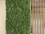 Imagem de Tapete folhagem artificial p/ parede planta amendoim 40x60cm