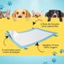 Tapete Higienico Absorvente Para Cachorro 55x60 Confort Pads 30 un Imagem de Tapete Higienico Absorvente Para Cachorro 55x60 Confort Pads 30 un