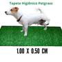 Imagem de Tapete Higiênico Grama Sintética lavavél 1 x 50 Petgrass Pronta entrega