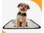Imagem de Tapete para xixi de cachorro pet, 1 unidade P 50x60 cm