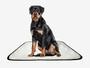 Imagem de Tapete pet impermeável educador dog oferta 10un G2 120x120cm