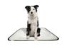 Imagem de Tapete pet impermeável educador dog oferta 5 un P1 50x70cm