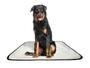 Imagem de Tapete pet reutilizável adestrador dog oferta 4 un G1 100x120cm