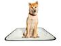 Imagem de Tapete pet reutilizável adestrador dog oferta 5 un M 60x80cm