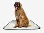Imagem de Tapete pet reutilizável educador dog oferta 7un G1 100x120cm
